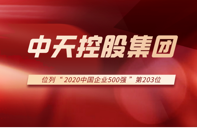 EZPay集团列2020中国企业500强第203位！